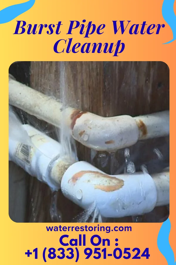Burst Pipe Water Cleanup in Akron, NY
