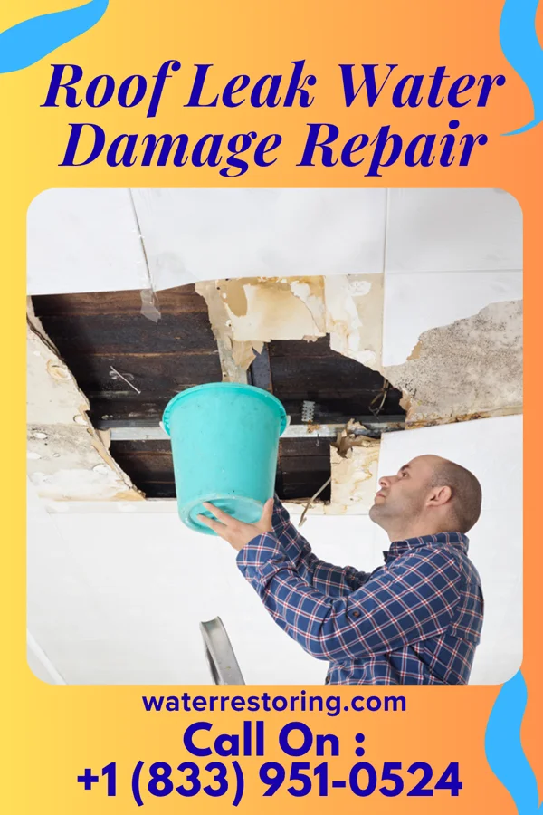 Roof Leak Water Damage Repair in Akron, NY