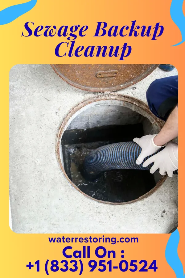 Sewage Backup Cleanup in Akron, NY