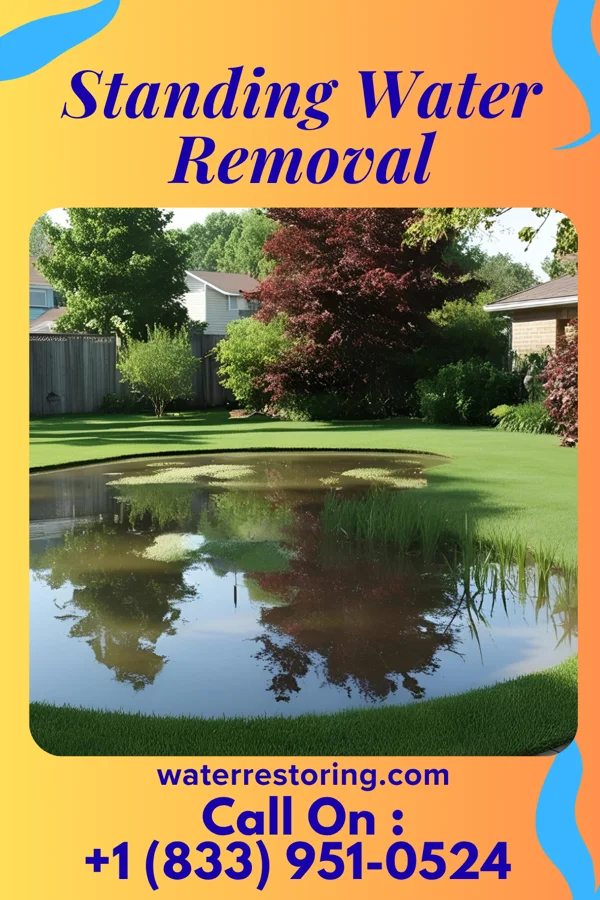 Standing Water Removal in Akron, NY
